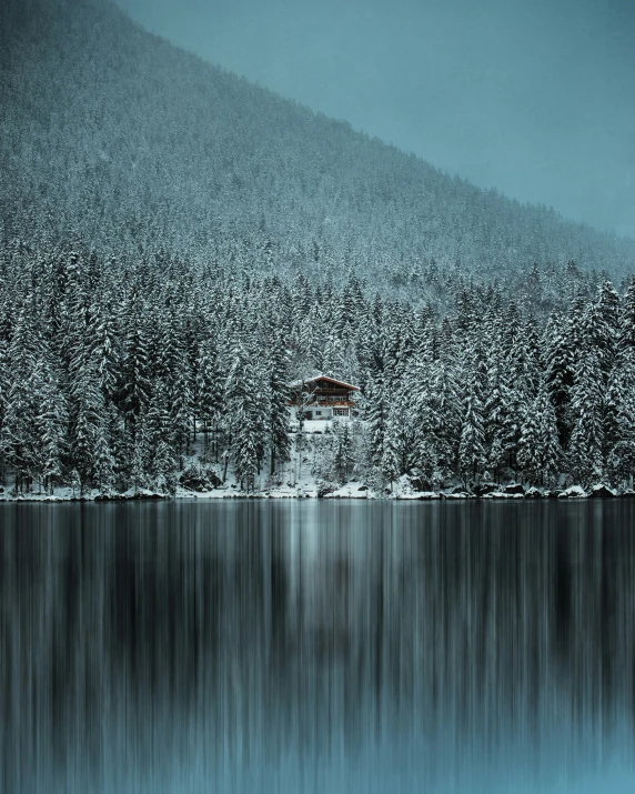 a beautiful po of snowy trees and a lake