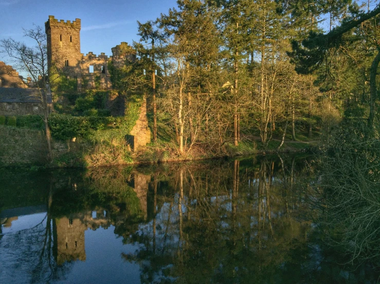 a castle and water way in the woods