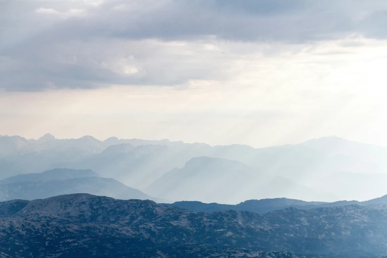 a bird is perched on the top of a tall peak