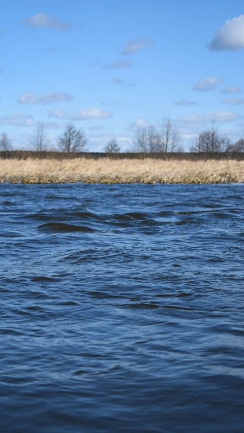 there is a large body of water near the shore