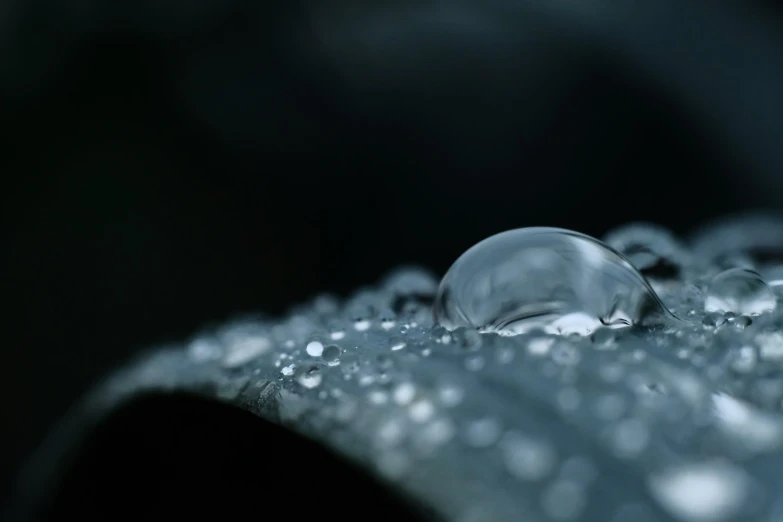 a couple of water droplets floating on top of a piece of paper