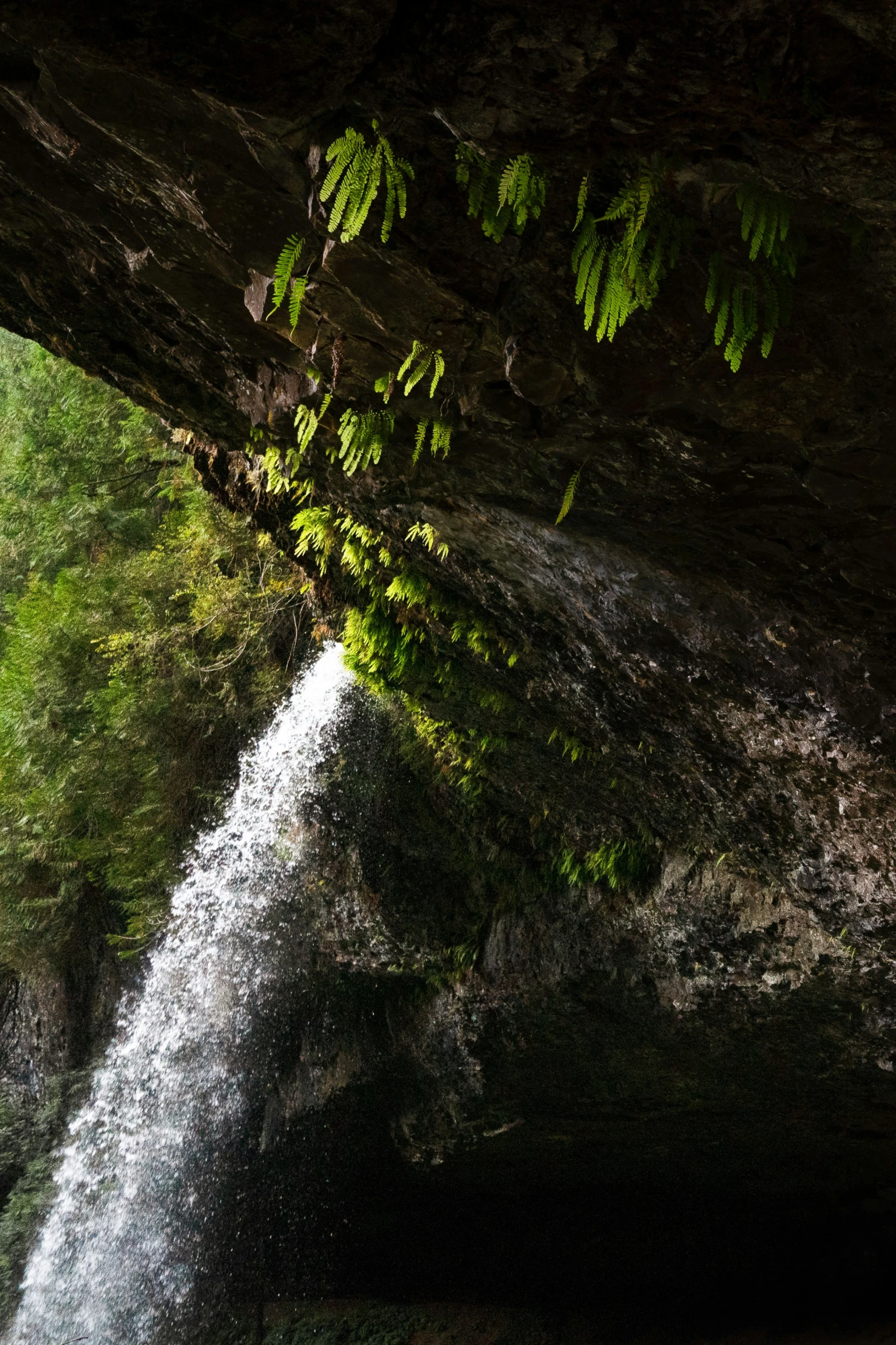 a small waterfall gushing into a large pool