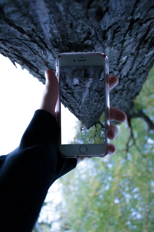 person holding up an iphone to take a pograph