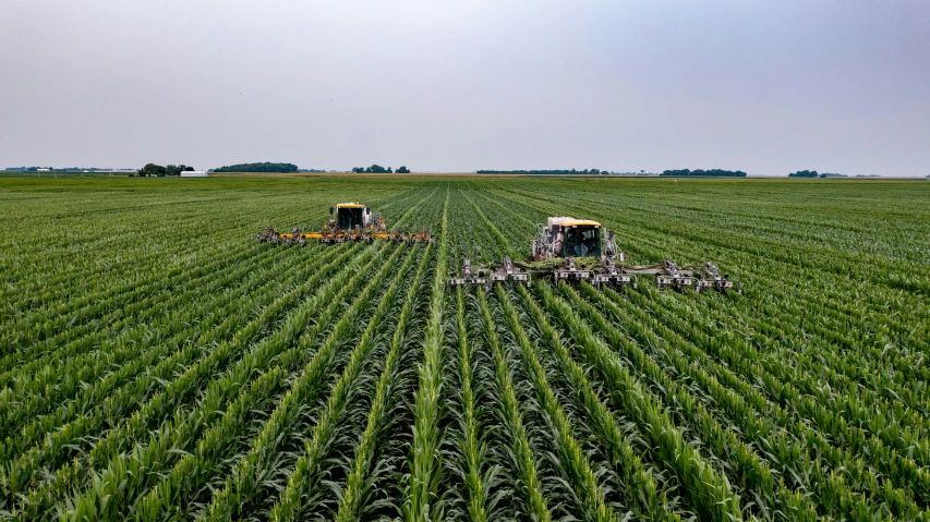 two tractors in a field of crops