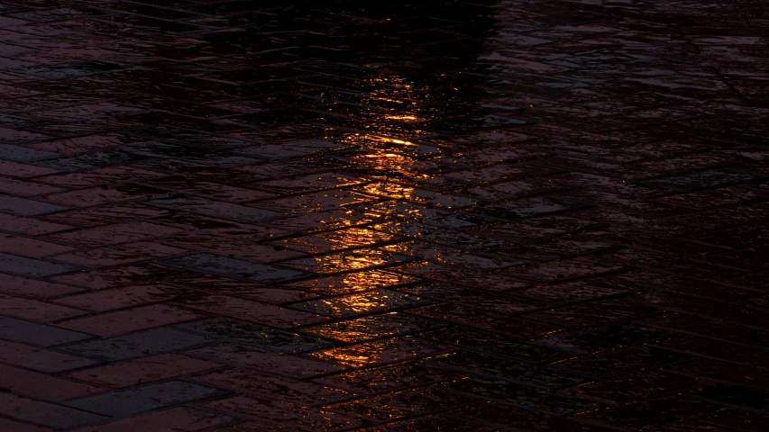 a street light reflected in the wet pavement