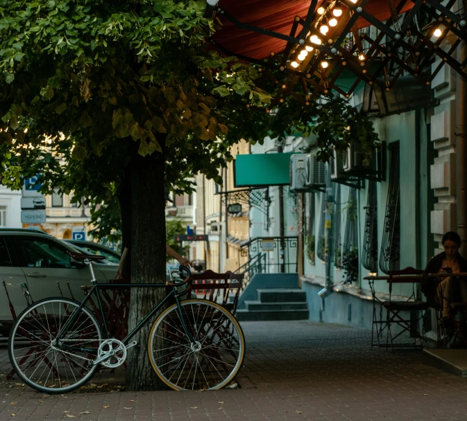 a street scene with bicycles parked under a tree