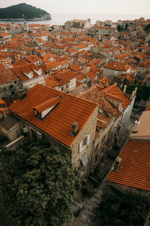 orange roofs line the street in front of an older brick building