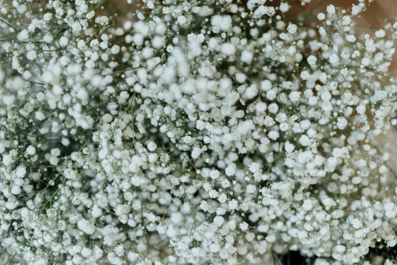 a bouquet of white flowers in front of a brick wall