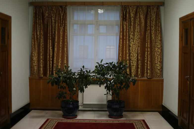 two planters and a rug on the floor next to the window