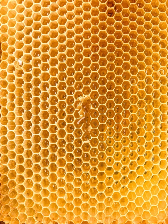 an abstract image of honey cells showing a pattern