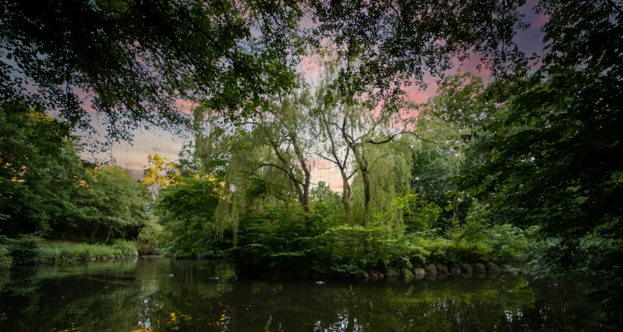 the water looks very calm and beautiful, with trees reflected in the water