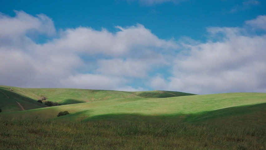 a sheep grazing on green grass with mountains in the background