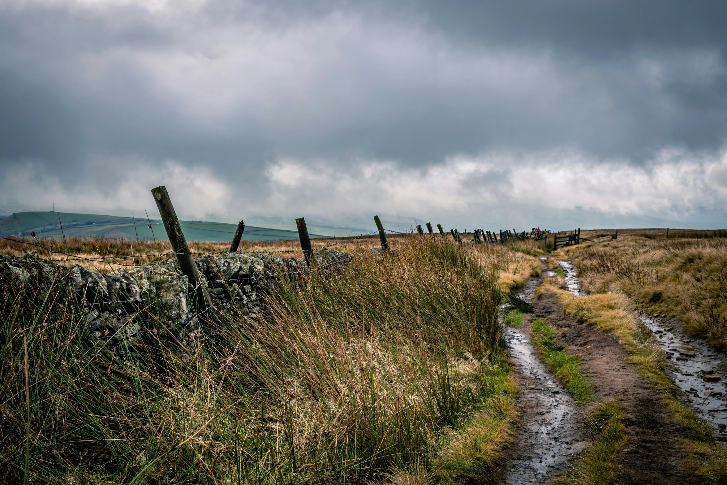 a road and a fence surrounded by a field