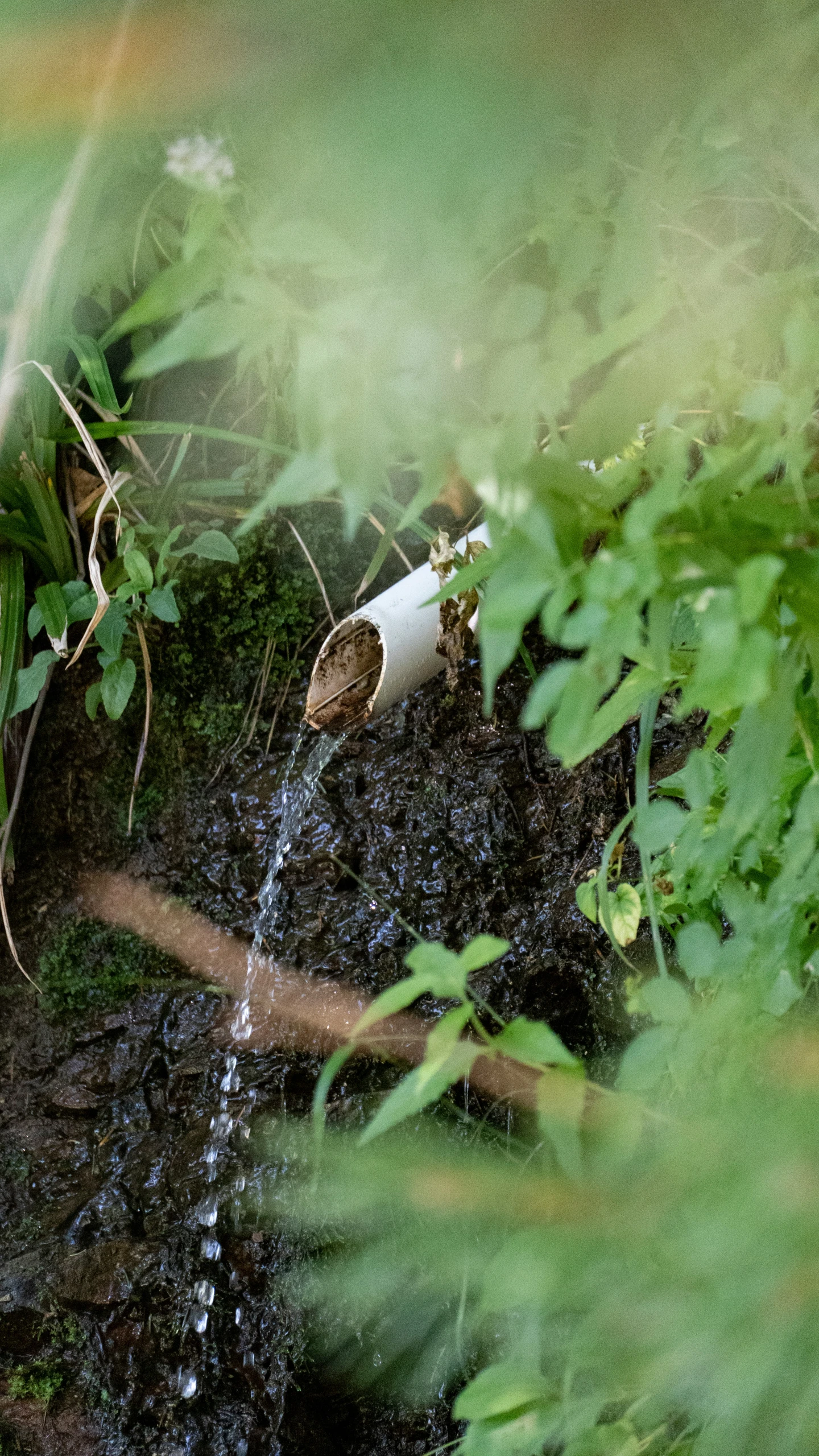 a pipe is flowing into the soil from the ground