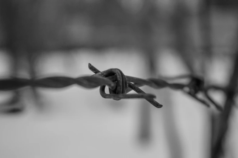 an image of a barbed wire fence