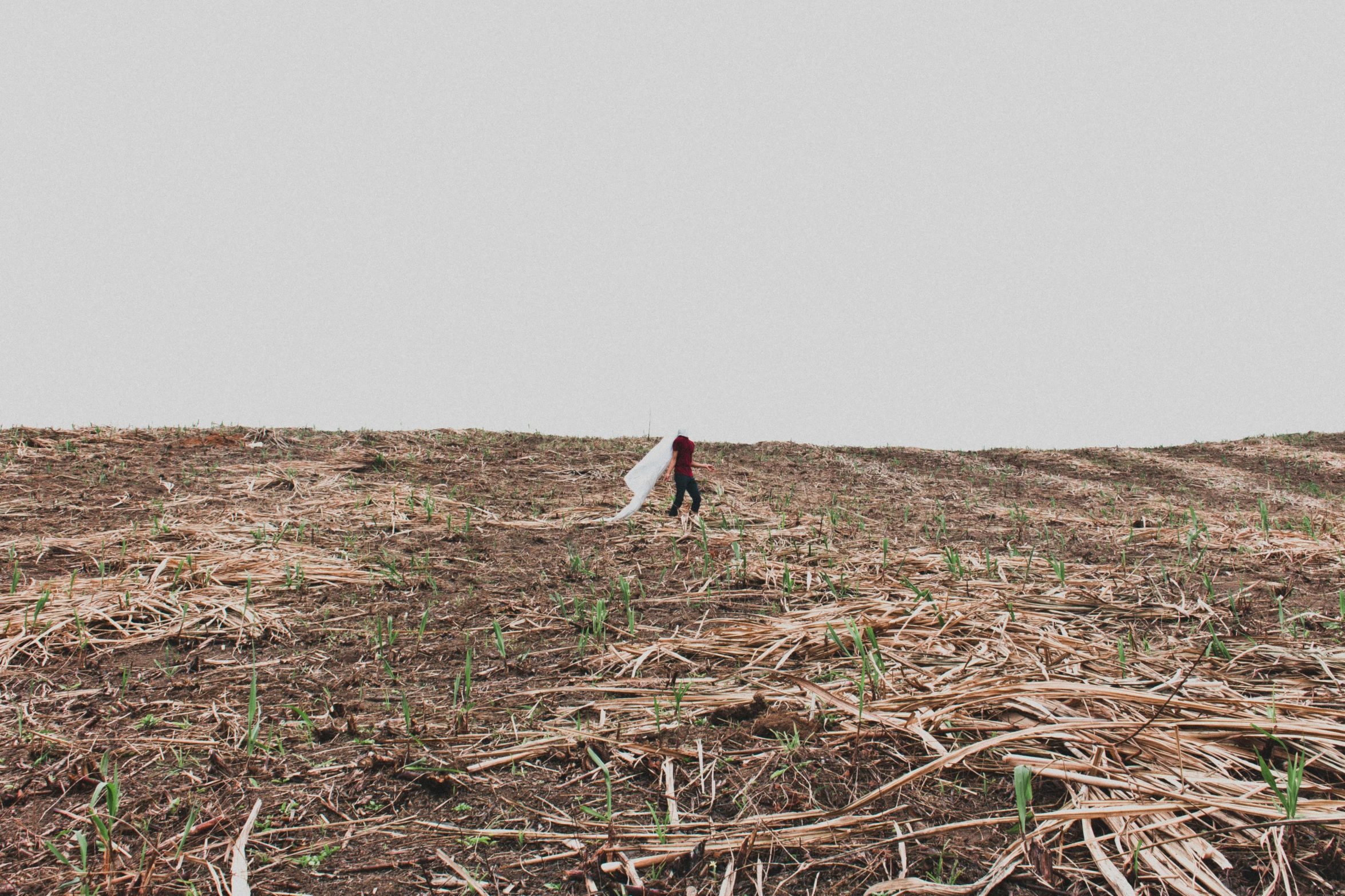 someone standing in the middle of a patch of grass