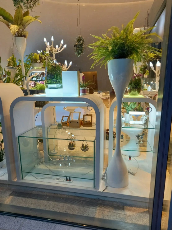 a shop window with plant pots, white vases and white chairs