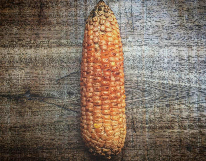 an image of a corn on the cob with woodgrain