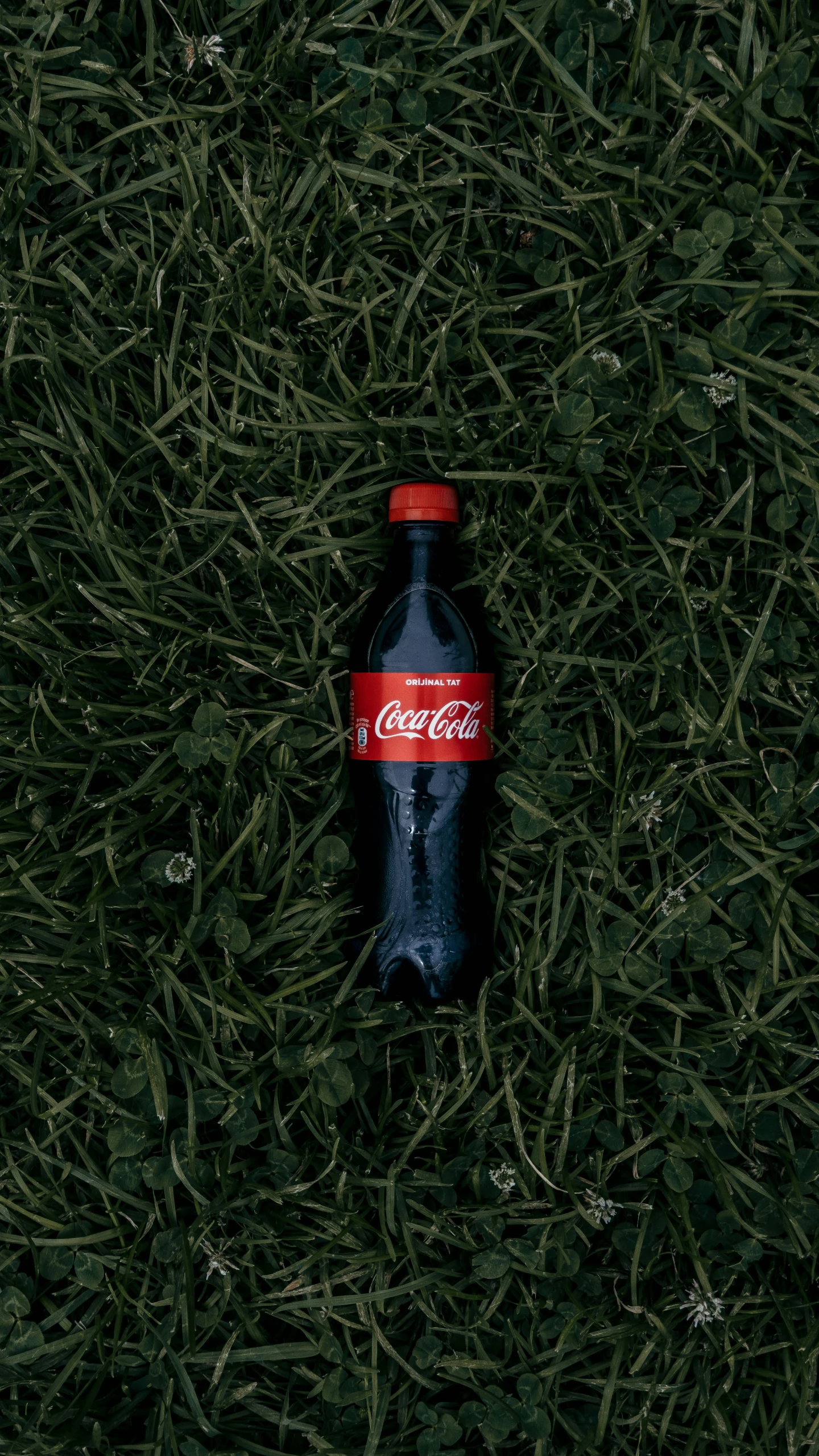 a coke can lying on the grass