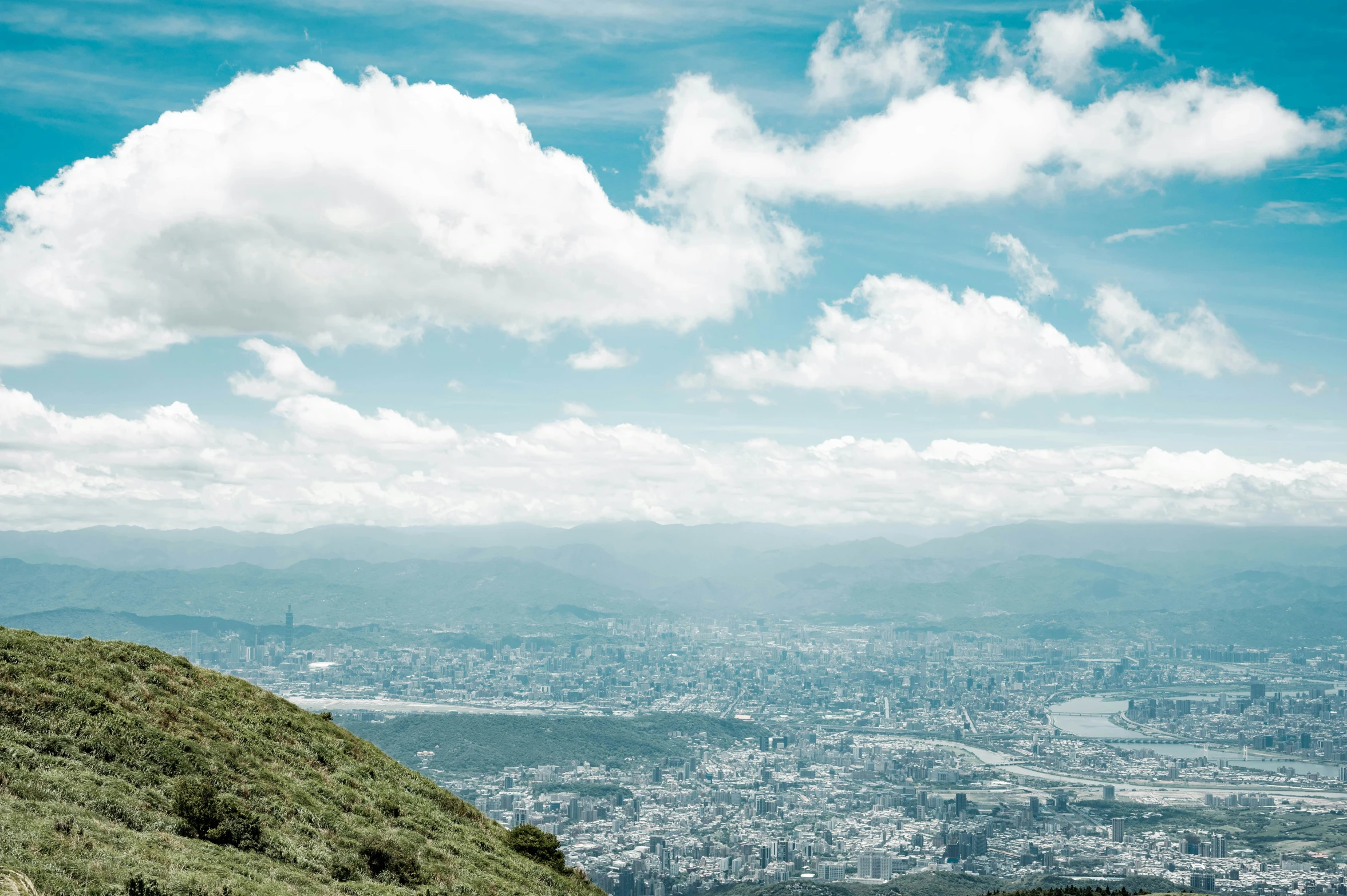 two animals that are sitting on top of a hill