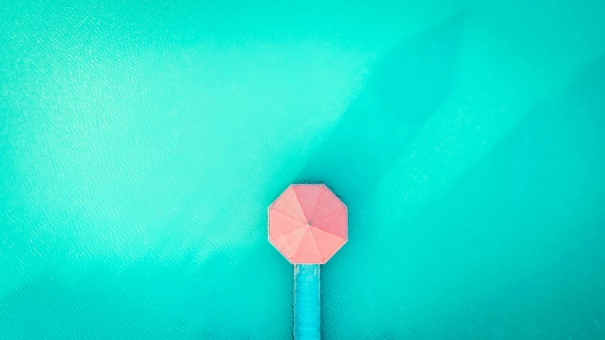 a pink paper umbrella floating in water