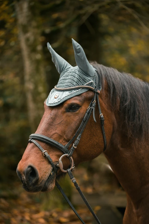 an image of a horse that has a crown on it