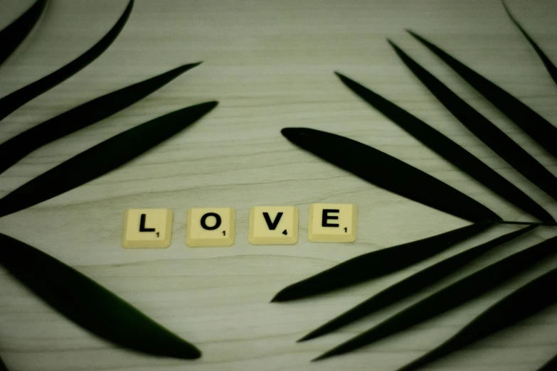 two scrabble letters that spell out love are spelled by palm leaves