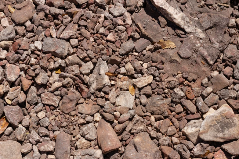 rocks with some white stuff laying on top of it