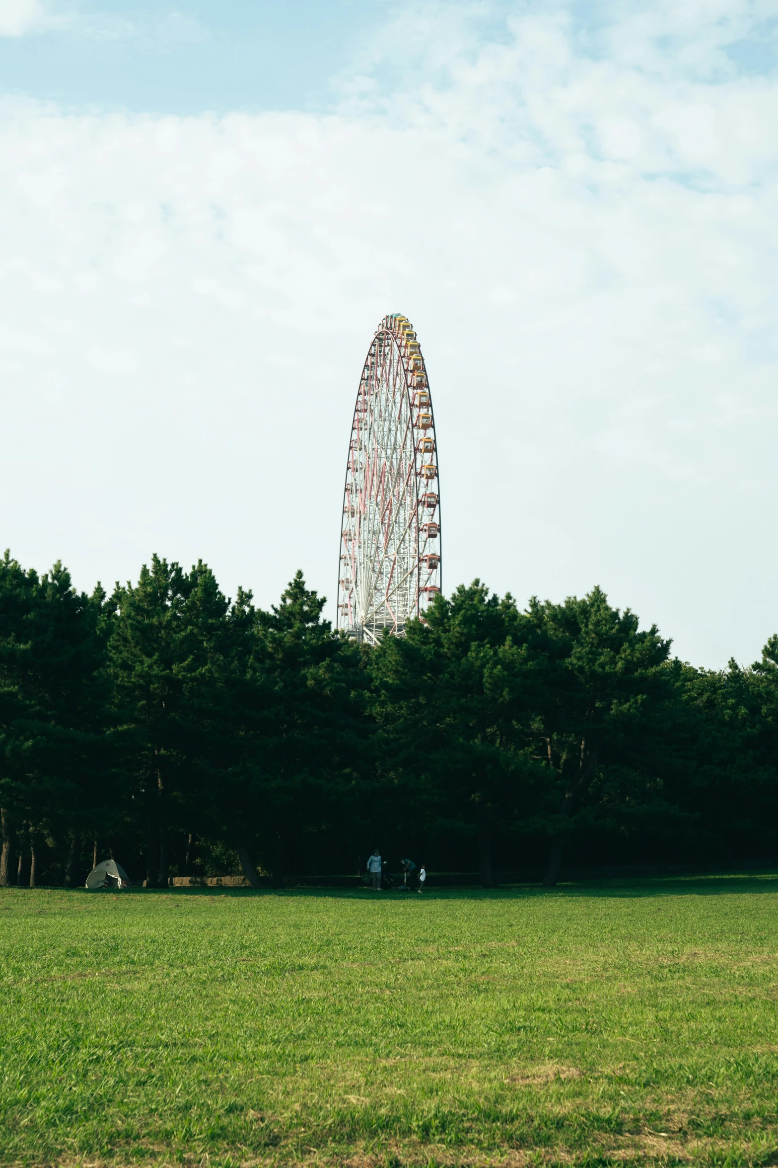 a carnival wheel in the middle of a park area