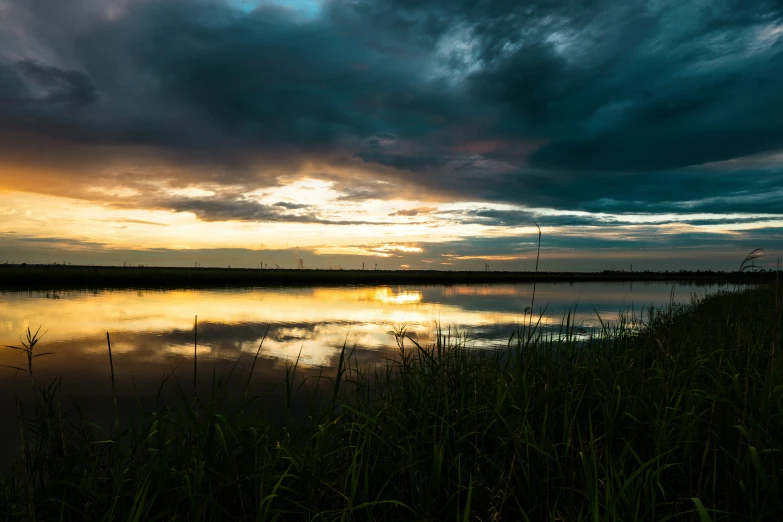 beautiful sky above the water and some tall grass