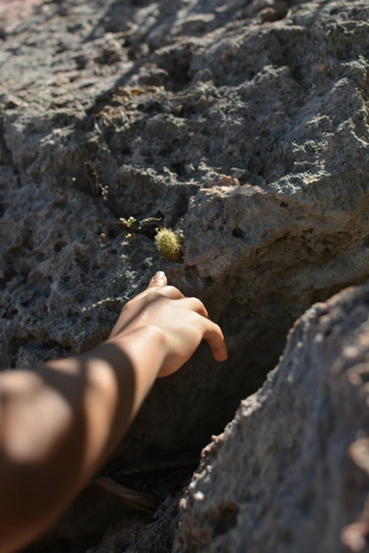 a persons hand reaching towards some rocks holding soing