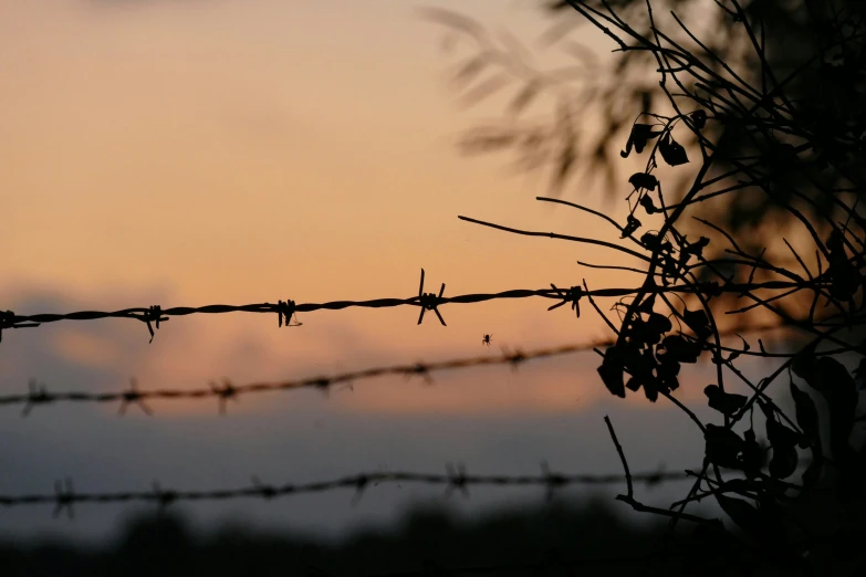 a po of barbed wire against a cloudy sky