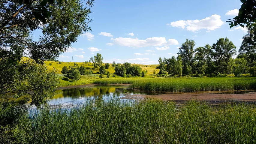 a lake surrounded by trees under a blue sky