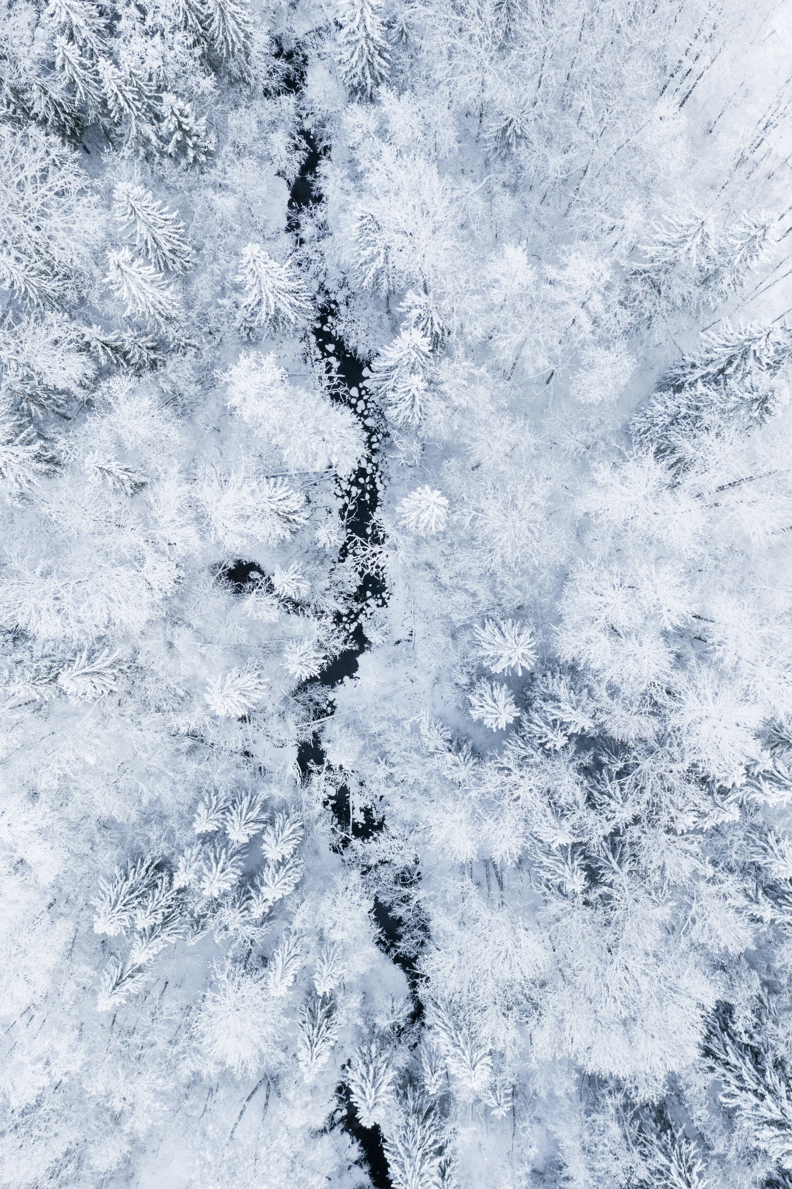 an aerial view of some snow covered trees