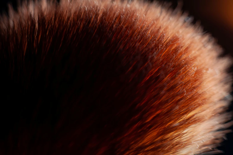this is an artistic view of a hair brush