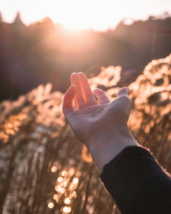 a hand is up high in the air next to tall grass