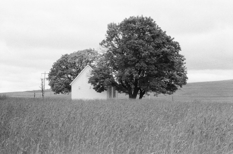 an old white farmhouse with two trees on the side