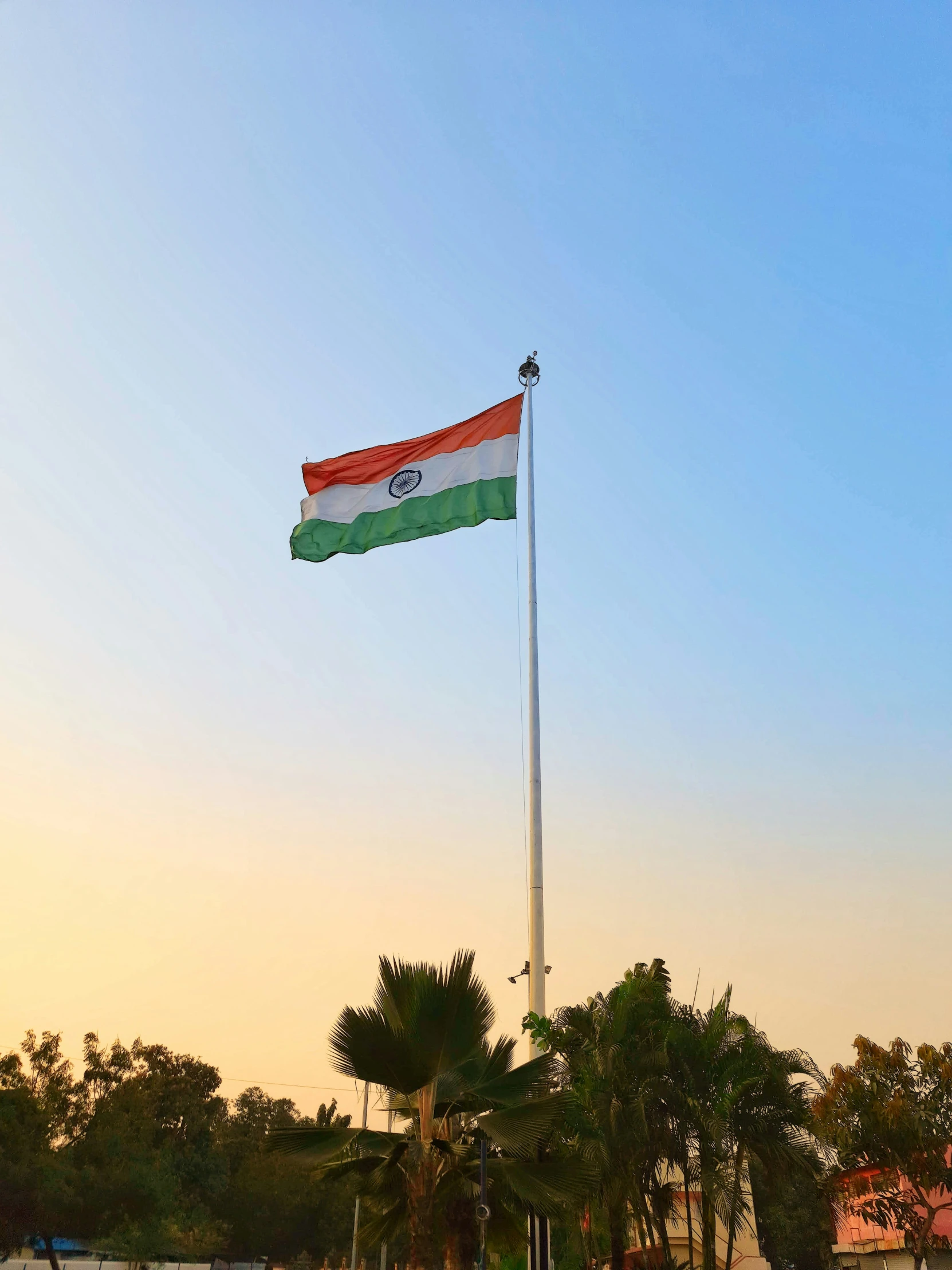 flag in the center of an area near trees