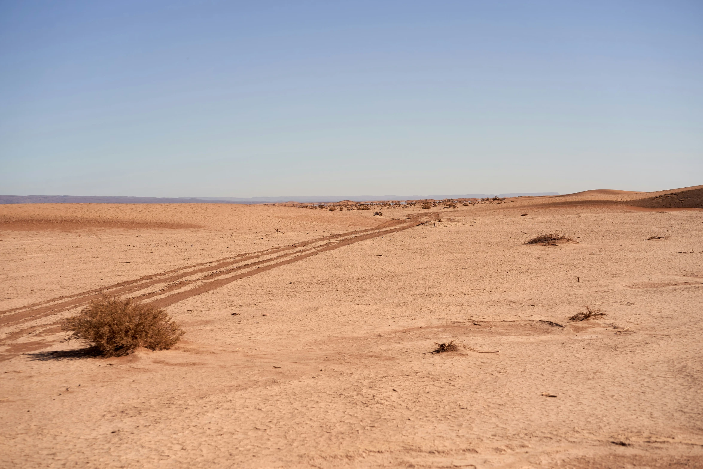 there is a lot of dirt in the desert