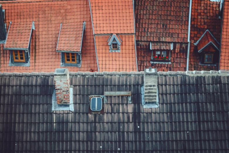 a group of small roofs with orange tiles and windows