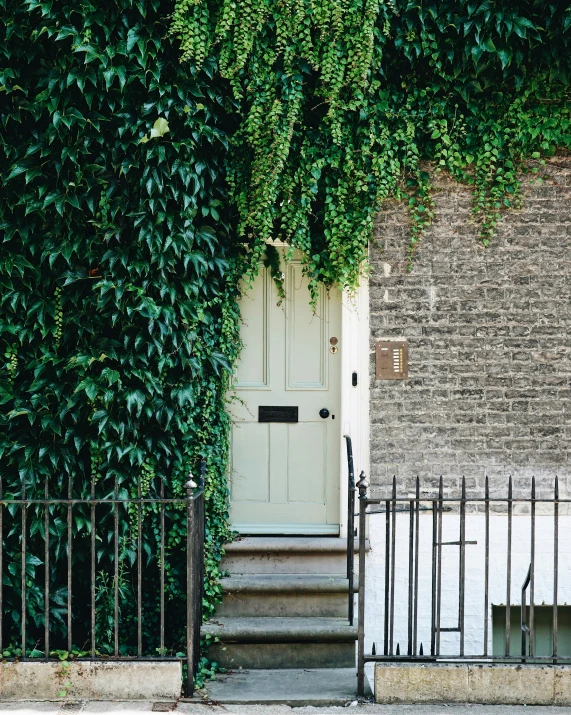 a white door with vines on it next to some steps