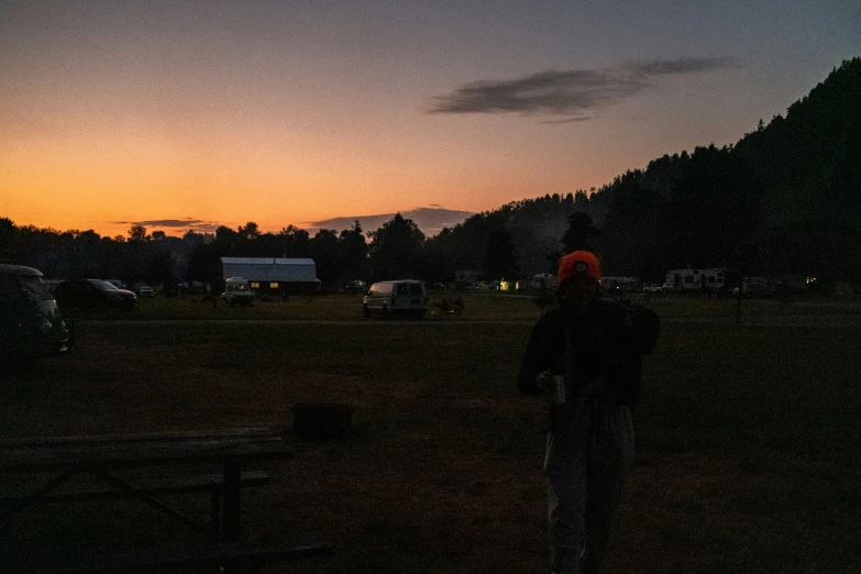 a person is standing on the grass with their back towards the camera at dusk