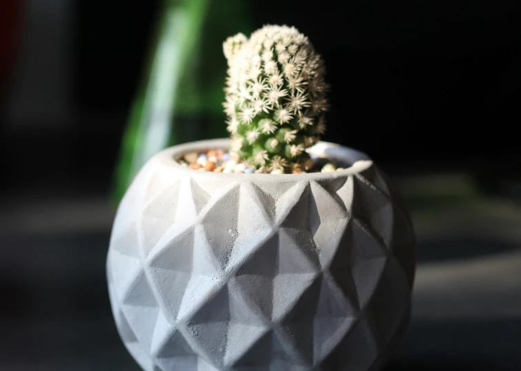 a small cactus sits in a white geometric planter