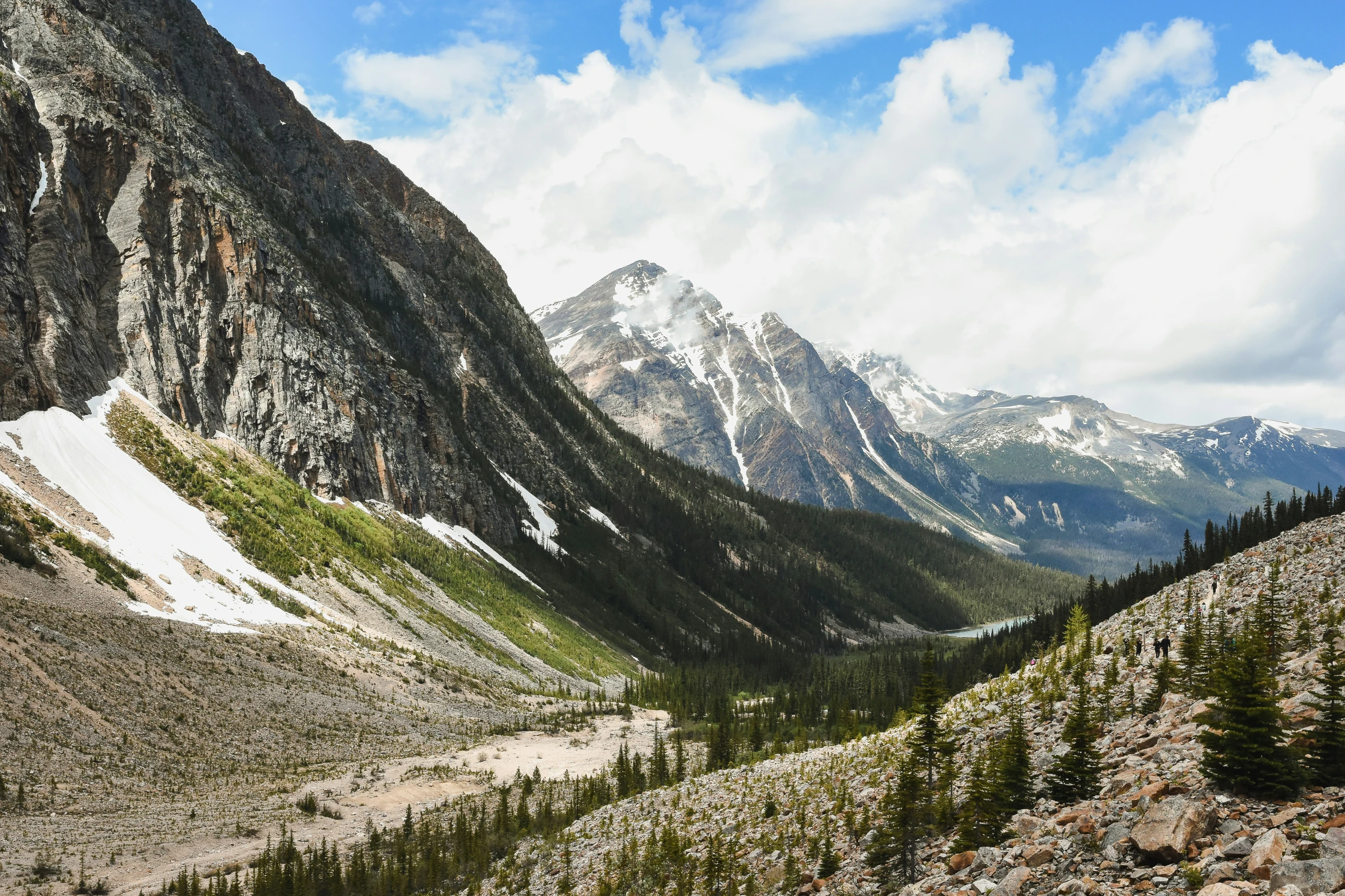 the rocky mountain is surrounded by pine trees