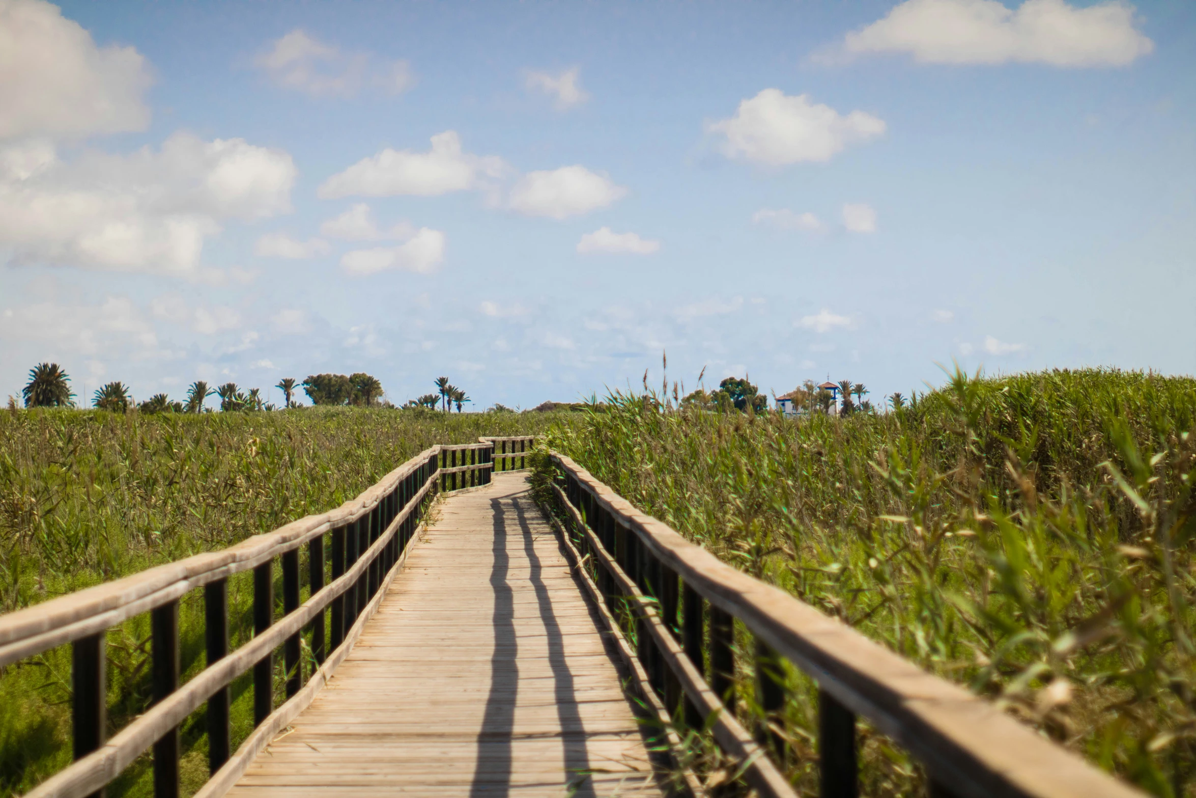 there is a bridge that crosses over a field of grass