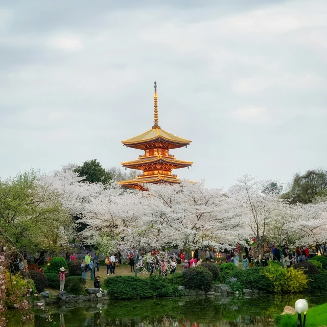 a japanese pagoda in the middle of the trees