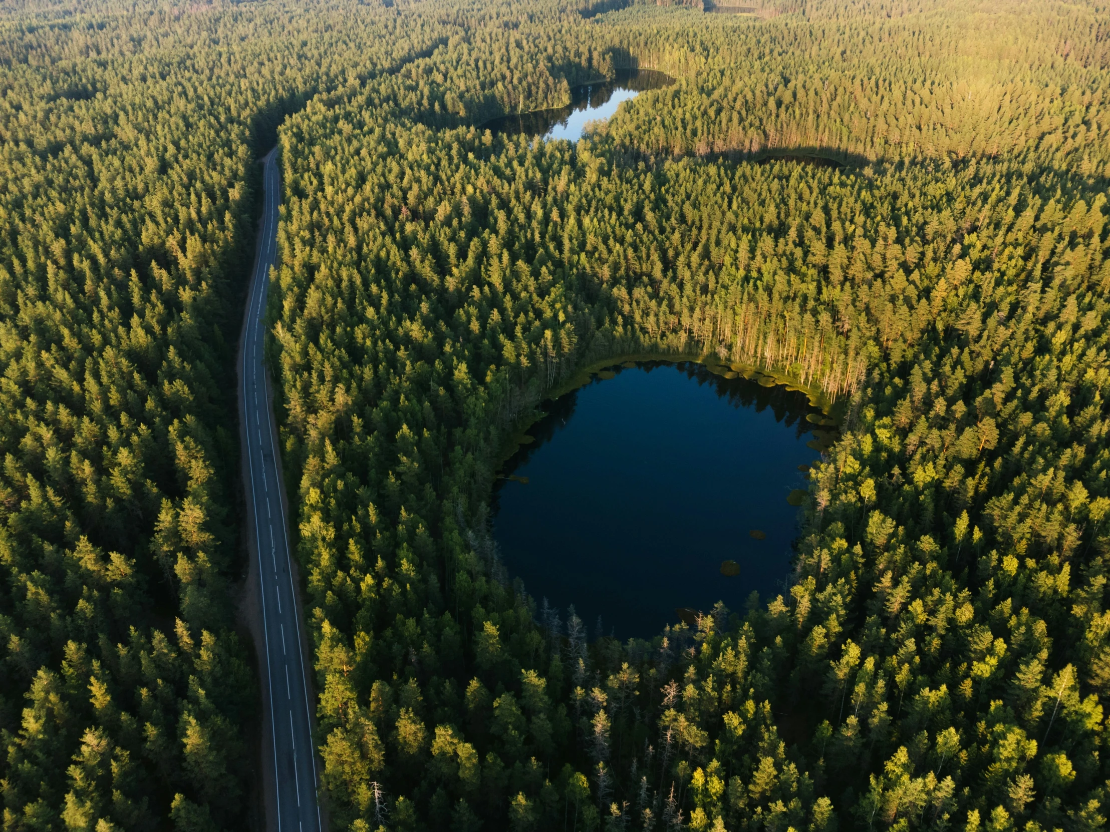 a river running through the middle of a forest