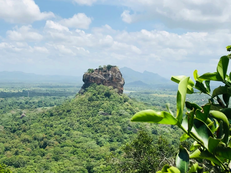 a mountain that has some green bushes in it