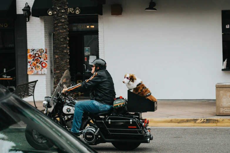 man with dog on back of motorcycle in urban setting