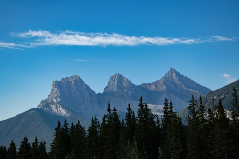 trees and grass in front of mountains under blue sky